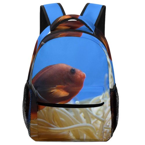 yanfind Children's Backpack Fish Ocean Aquarium Marine Biology Underwater Organism Sea Anemone Pomacentridae Invertebrate Invertebrates Preschool Nursery Travel Bag