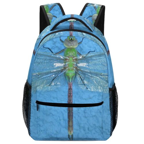 yanfind Children's Backpack Damselfly Insect Plaster Dragonflies Damseflies Net Winged Insects Invertebrate Hawker Preschool Nursery Travel Bag