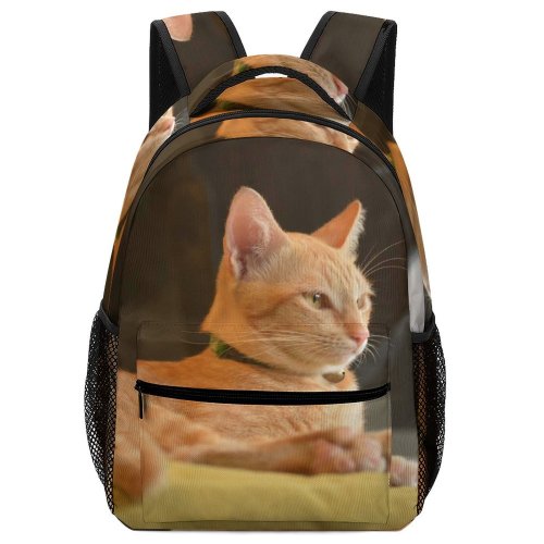 yanfind Children's Backpack Lovely Young Kitty Pet Felidae Kitten Portrait Tabby Whiskers Cute Focus Little Preschool Nursery Travel Bag