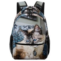 yanfind Children's Backpack Cat Pet Furniture Manx Home Decor Couch  D Siamese MacBook Explore Preschool Nursery Travel Bag