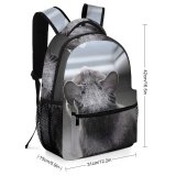 yanfind Children's Backpack Pet Top Felidae From Shot High Furry Above Window Cat Mirror Fur Preschool Nursery Travel Bag