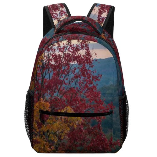 yanfind Children's Backpack Abies Natural Area Lake Tree Hills Scenic Plant Leaf Fir Free Preschool Nursery Travel Bag