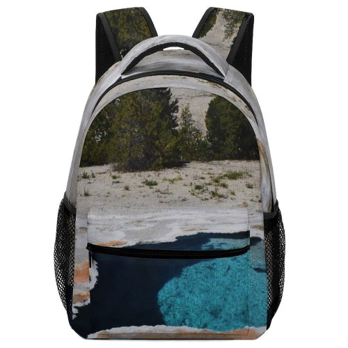 yanfind Children's Backpack Abies Hot Tree Geyser Wyoming Faithful  Pine Old Plant Fir Preschool Nursery Travel Bag