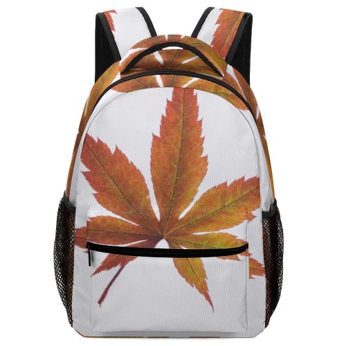 yanfind Children's Backpack Autumn Leaf Maple Design Season Fall Leaves Preschool Nursery Travel Bag