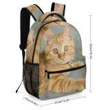 yanfind Children's Backpack Plant Eyes Kitty Pet Kitten Whiskers Cute Focus Little Furry Face Pavement Preschool Nursery Travel Bag
