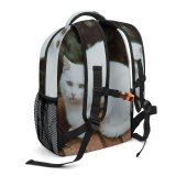 yanfind Children's Backpack Funny Curiosity Outdoors Sit Cute Cat  Portrait Staring Kitten Pet Fur Preschool Nursery Travel Bag