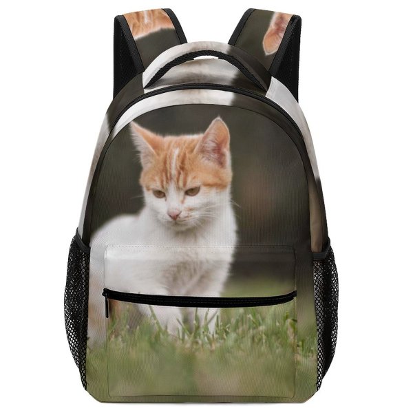 yanfind Children's Backpack Grass Pet Outdoors Resting Kitten Portrait Tabby Curiosity Cute Little Face Cat Preschool Nursery Travel Bag