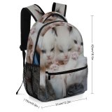 yanfind Children's Backpack  Focus Beautiful Cats Little Fur Downy Mammals Funny Kittens Adorable Cute Preschool Nursery Travel Bag