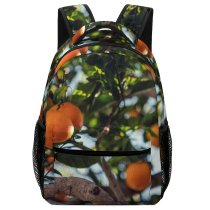 yanfind Children's Backpack  Freshness Tree Focus  Depth Field Hanging Oranges Growth Fruit Selective Preschool Nursery Travel Bag