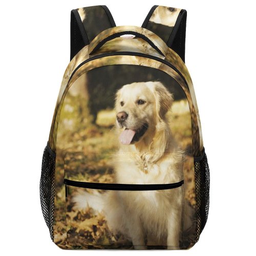 yanfind Children's Backpack Dog Pet Free Pictures Strap Stock Golden Images Preschool Nursery Travel Bag