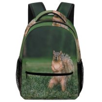 yanfind Children's Backpack  Focus Depth Grass Field Wildlife Squirrel Outdoors Rodent Cute Vertebrate Preschool Nursery Travel Bag