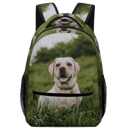 yanfind Children's Backpack Nose Pet Tongue Wildlife Pictures Outdoors Free Grass Hound Lab Dog Preschool Nursery Travel Bag