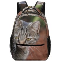 yanfind Children's Backpack Nala Pet Creative Tabby Pictures Kitty Cat Outside Commons Africa Abyssinian Preschool Nursery Travel Bag