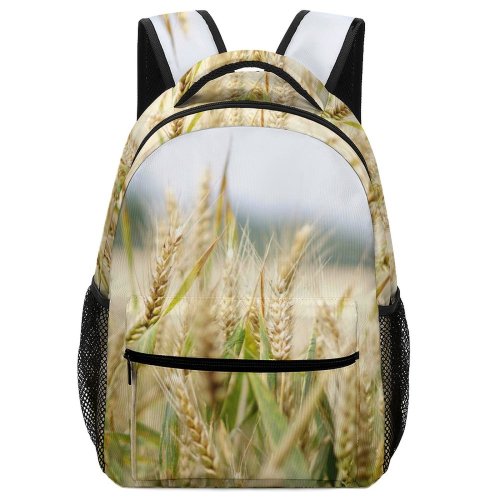 yanfind Children's Backpack  Focus Farm Rye Plant Depth Landscape Farmland Field Pasture Light Wheat Preschool Nursery Travel Bag