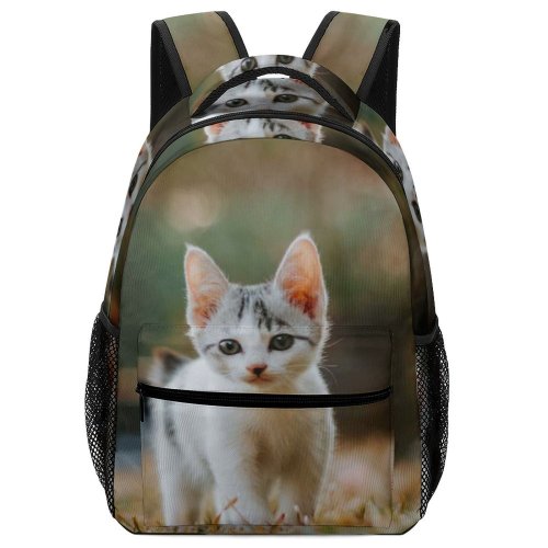 yanfind Children's Backpack Kitty Grass Grey Pet Outdoors Kitten Tabby Whiskers Curiosity Cute Little Adorable Preschool Nursery Travel Bag