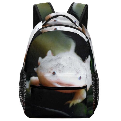 yanfind Children's Backpack Axolotl  Underwater Aquatic Aquarium Wildlife Tropical Outdoors Amphibian Cute Sea Natural Preschool Nursery Travel Bag