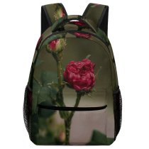 yanfind Children's Backpack  Flower Plant Rose Geranium Public Domain Preschool Nursery Travel Bag