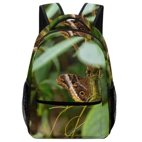 yanfind Children's Backpack Butterfly Insect Invertebrate Burgers' Antoon Van Hooffplein Arnhem Netherlands Leaf Telephoto Preschool Nursery Travel Bag