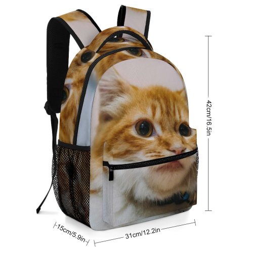 yanfind Children's Backpack Funny Curiosity Sit Little Young  Staring Kitten Whisker Downy Fur Portrait Preschool Nursery Travel Bag