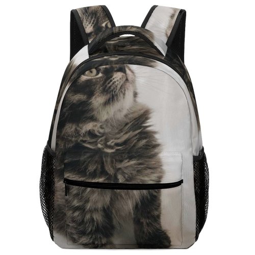 yanfind Children's Backpack Young Pet Funny Kitten Portrait Tabby Curiosity Cute Little Sit  Whisker Preschool Nursery Travel Bag