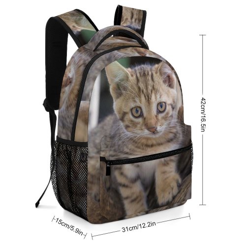 yanfind Children's Backpack Young Tree Pet Kitten Portrait Cute Little  Adorable Furry Cat Fur Preschool Nursery Travel Bag