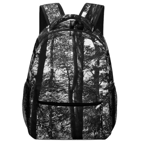 yanfind Children's Backpack  Trail Lake  Tree Aesthetic Nc Plant Toxaway Light Free Preschool Nursery Travel Bag