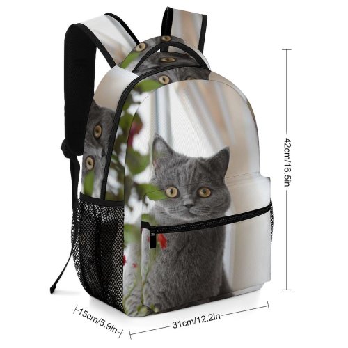 yanfind Children's Backpack Funny Curiosity Sit Cute Window  Portrait Family Kitten Pet Whisker Fur Preschool Nursery Travel Bag