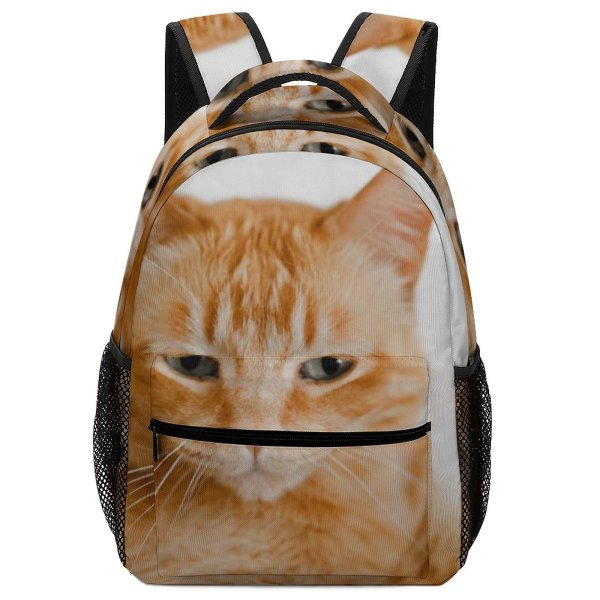 yanfind Children's Backpack Funny Curiosity Sit Cute Little Young  Portrait Staring Kitten Pet Whisker Preschool Nursery Travel Bag
