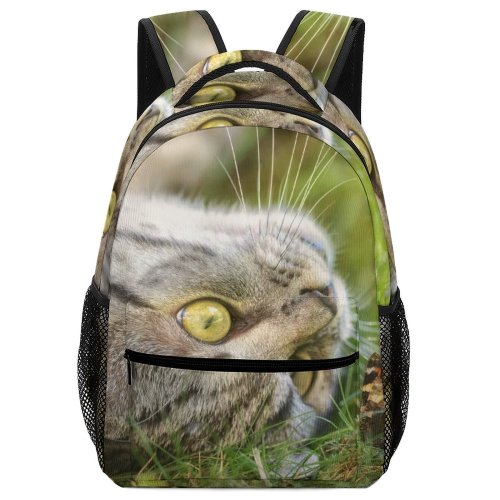 yanfind Children's Backpack  Whiskers Butterfly Shorthair Cat Little Face Grass British  Portrait Pet Preschool Nursery Travel Bag