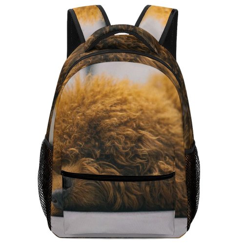 yanfind Children's Backpack Funny Cute Sleep Toy Cat Puppy Fuzzy Studio Hairy Downy Fur Portrait Preschool Nursery Travel Bag
