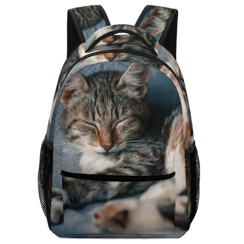 yanfind Children's Backpack Lazy Young Stripe Pet Kitten Tabby Curiosity Cute Little Sit Sleep Cat Preschool Nursery Travel Bag