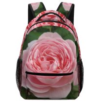 yanfind Children's Backpack Floral Rose Leaf Plant Domain Garden Flower Petal Public  Images Preschool Nursery Travel Bag