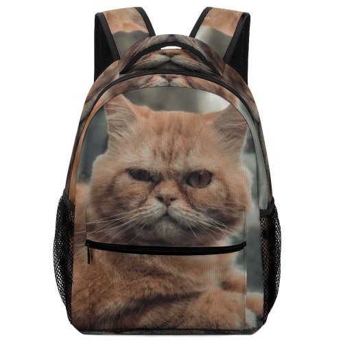 yanfind Children's Backpack Pet Funny Kitten Portrait Curiosity Cute Little Adorable Sit Sleep Cat Preschool Nursery Travel Bag
