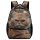 yanfind Children's Backpack Pet Funny Kitten Portrait Curiosity Cute Little Adorable Sit Sleep Cat Preschool Nursery Travel Bag