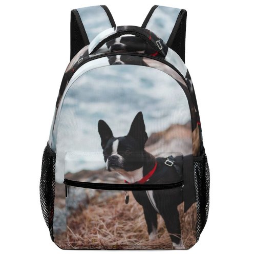 yanfind Children's Backpack Dog Pet  Bull Strap Pictures Free Stock Images Boston Preschool Nursery Travel Bag