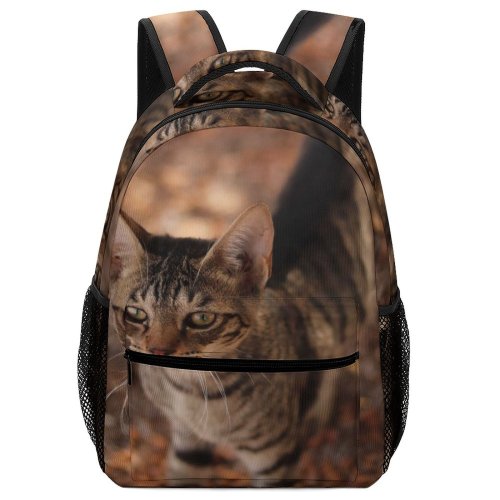 yanfind Children's Backpack Funny Outdoors Cute Little Young  Portrait Kitten Pet Whisker Fur Wild Preschool Nursery Travel Bag