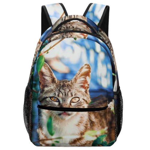 yanfind Children's Backpack Zonguldak Pet Sunlight Invertebrate Plant Wildlife Foliage Mantis Insect Pictures Preschool Nursery Travel Bag