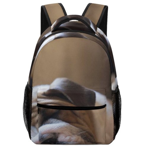 yanfind Children's Backpack  Pet Sleeping English Closed Pictures Cute Free HQ Puppies Dog Preschool Nursery Travel Bag