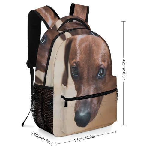 yanfind Children's Backpack Dog Pet Wallpapers Free Pictures Wood Hound Grey Images Snout Beagle Preschool Nursery Travel Bag