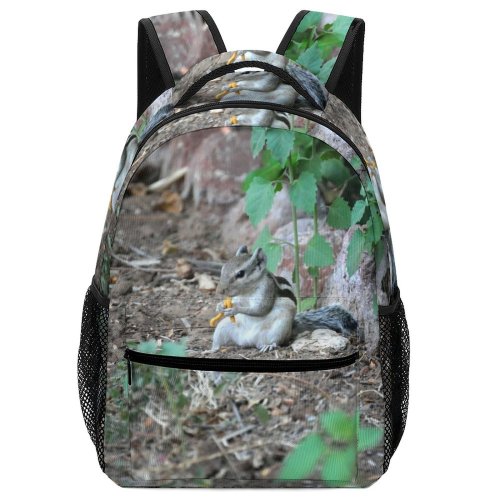 yanfind Children's Backpack Ground Plant Indroda Ghandhinagar India Rodent Squirrel Cat Pet Wildlife Jb_pix Birds Preschool Nursery Travel Bag