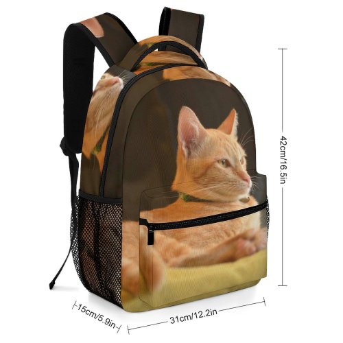 yanfind Children's Backpack Lovely Young Kitty Pet Felidae Kitten Portrait Tabby Whiskers Cute Focus Little Preschool Nursery Travel Bag