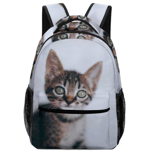yanfind Children's Backpack Young Stripe Pet Funny Winter Kitten Portrait Curiosity Cute Little Cat Preschool Nursery Travel Bag