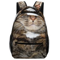 yanfind Children's Backpack  Focus Angry Cat Face Portrait Pet Tabby Fur Furious Outdoors Mad Preschool Nursery Travel Bag