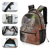 yanfind Children's Backpack Nala Pet Creative Tabby Pictures Kitty Cat Outside Commons Africa Abyssinian Preschool Nursery Travel Bag
