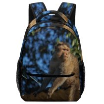 yanfind Children's Backpack Images Domain Wildlife Pictures Public Monkey Baboon Preschool Nursery Travel Bag