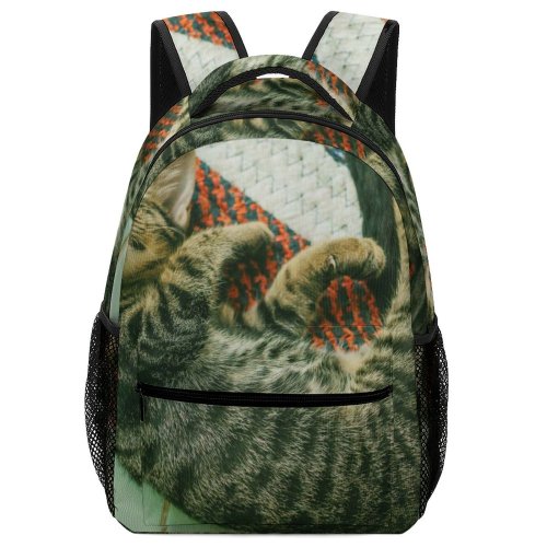 yanfind Children's Backpack Night Pet Kitten Portrait Whiskers Good Cute Focus Little  Adorable Furry Preschool Nursery Travel Bag