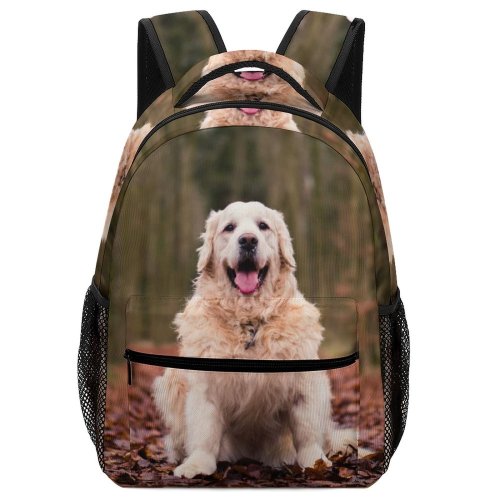 yanfind Children's Backpack Dog Pet Golden Surrey Hills Area Outstanding Natural Beauty Dorking United Preschool Nursery Travel Bag