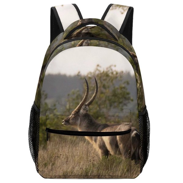 yanfind Children's Backpack Grassland Barbaric Outdoors Daylight Kruger Deer Horn Savanna Bush Grass Gazelle Wild Preschool Nursery Travel Bag
