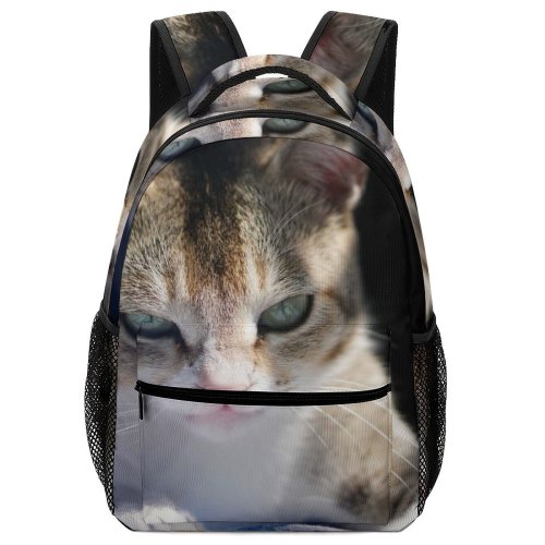 yanfind Children's Backpack Young Studio Funny Kitten Portrait Curiosity Cute Little Sleep  Whisker Downy Preschool Nursery Travel Bag