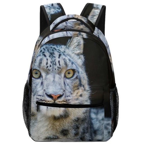 yanfind Children's Backpack Leopard Big Eyes Carnivore Dangerous Wild  Felidae Whiskers Hunter Wildlife Field Preschool Nursery Travel Bag